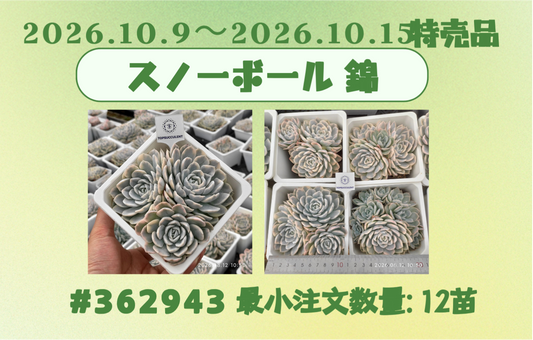 2026.10.9～2026.10.15特売品