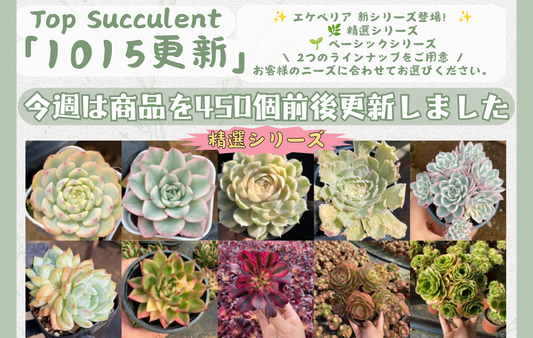 新着-1015更新