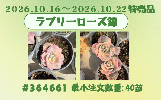 2026.10.16～2026.10.22特売品