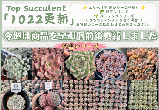 新着-1015更新