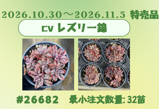 2026.10.30～2026.11.5特売品