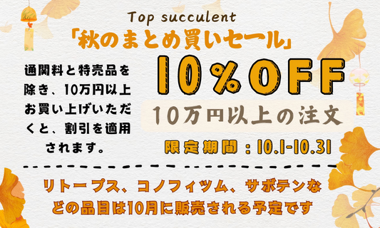 「秋のまとめ買いセール」開催中！