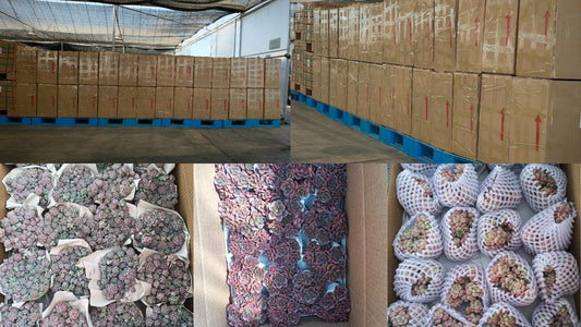 2026年2月28日出口作業現場