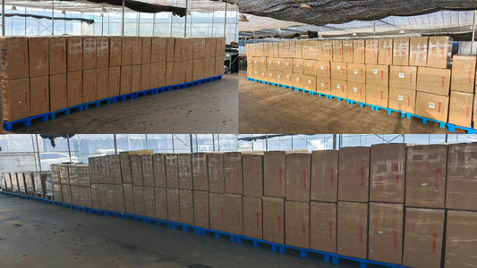 2026年3月7日出口作業現場