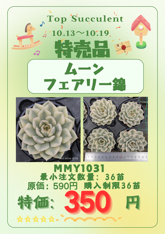 10.13~10.19特売品