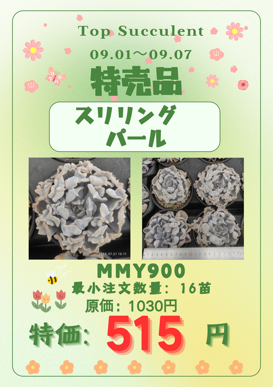 9.1~9.7特売品