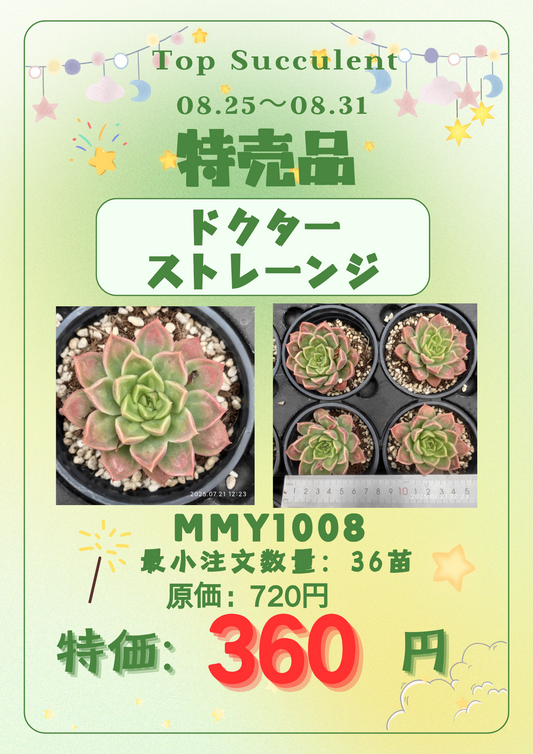 8.25~8.31特売品