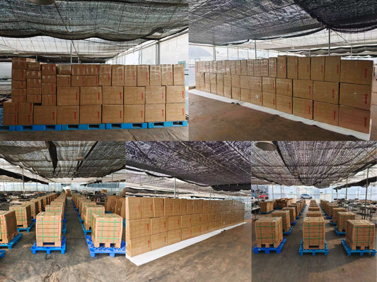 2026年3月13日出口作業現場