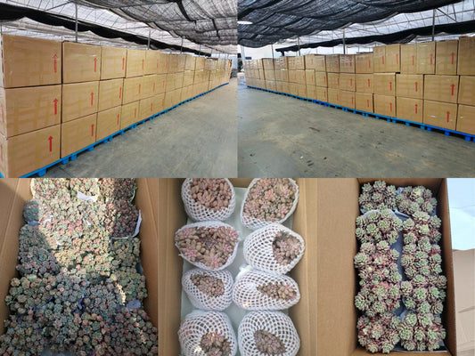 2026年4月3日出口作業現場