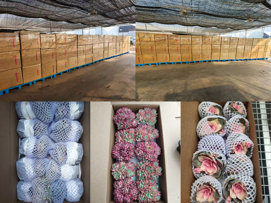 2026年4月10日出口作業現場