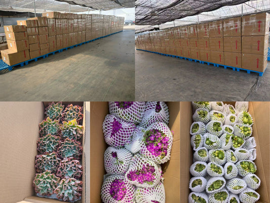 2026年4月17日出口作業現場