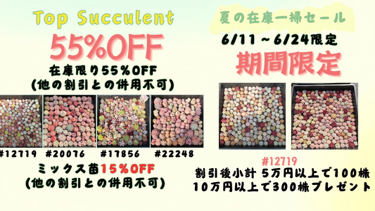 夏の在庫一掃セール！