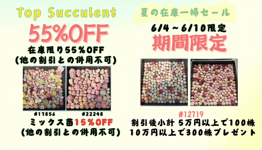 夏の在庫一掃セール！