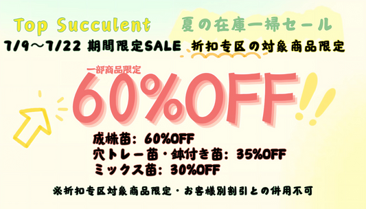 夏の在庫一掃セール！