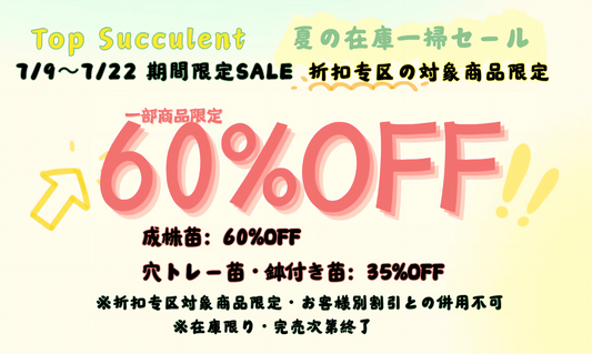 夏の在庫一掃セール！