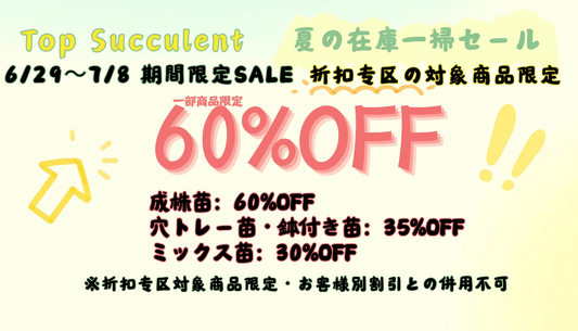夏の在庫一掃セール！