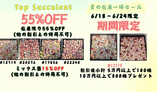 夏の在庫一掃セール！