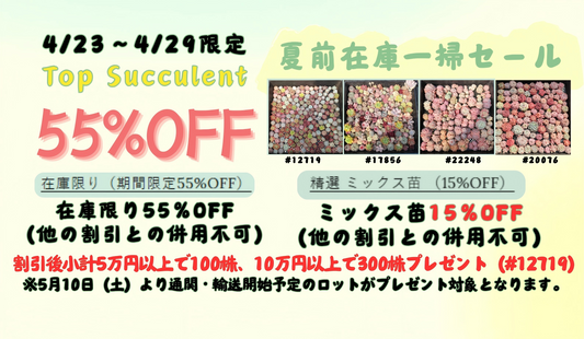 夏前在庫一掃セール！