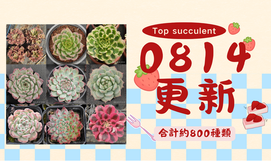 新着-0814更新