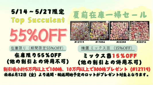 夏前在庫一掃セール！