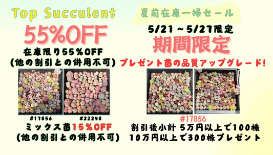 夏前在庫一掃セール！