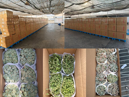 2026年4月24日出口作業現場