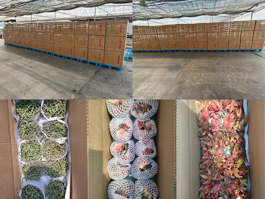 2026年5月1日出口作業現場