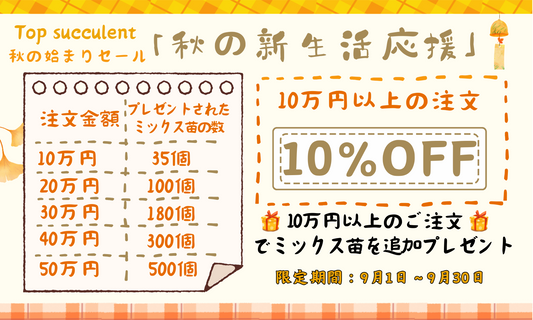 「秋の新生活応援」開催中！