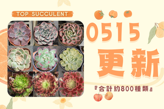 新着-0515更新