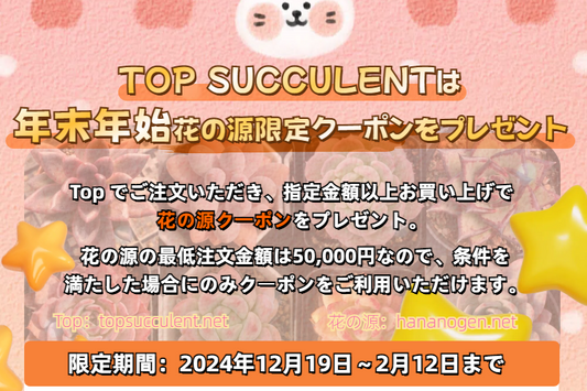 年末年始花の源限定ク一ポンをプレゼント