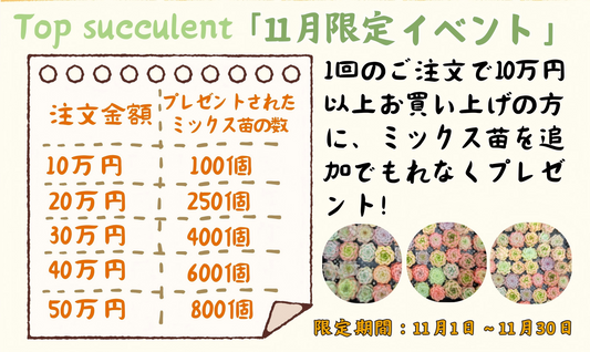 Top Succulent 花の源海外基地 多肉植物輸出 通関 ドアツードア – Top