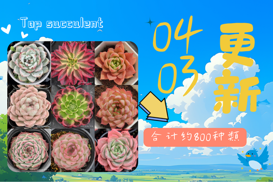 新着-0403更新