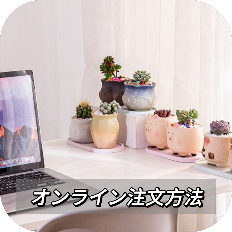ごえん TOPSUCCULENT 10個 24927 スーパー ミルクHyb 多肉植物 エケベリア