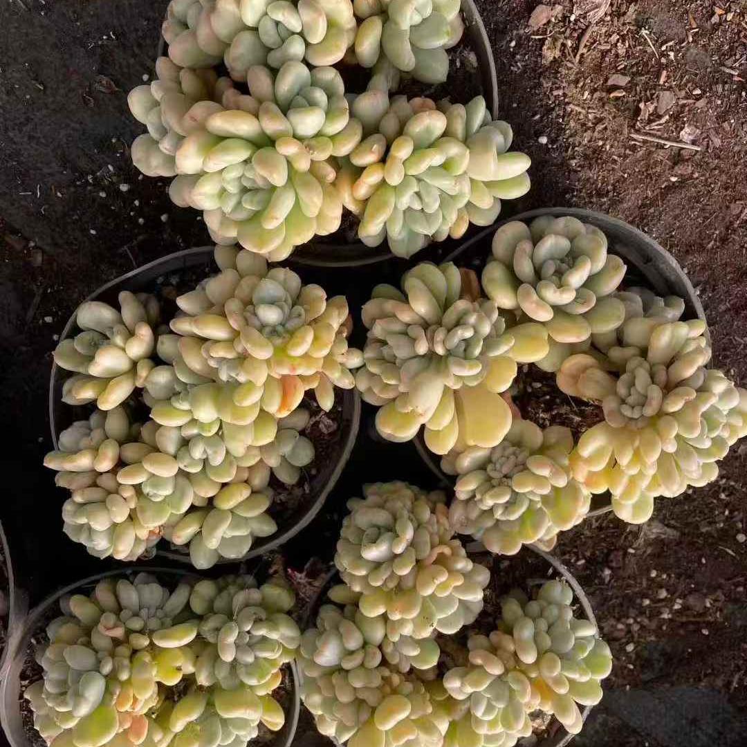 259771 ビルゲイツ