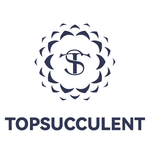 プラグトレー ミックス苗 – Top Succulent® プラグトレー ミックス苗 – Top Succulent®