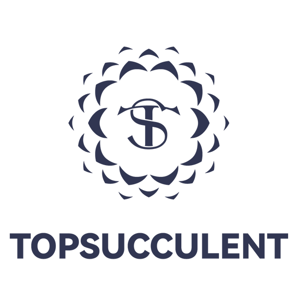 Top Succulent®
